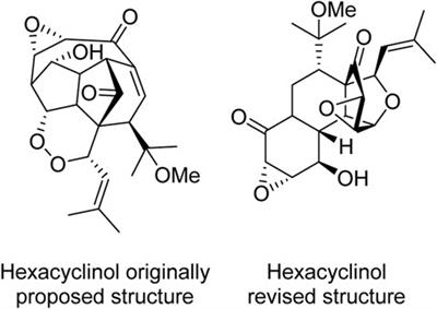 Are we still chasing molecules that were never there? The role of quantum chemical simulations of NMR parameters in structural reassignment of natural products